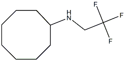 N-(2,2,2-trifluoroethyl)cyclooctanamine Structure