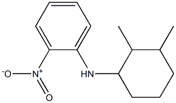 N-(2,3-dimethylcyclohexyl)-2-nitroaniline Structure