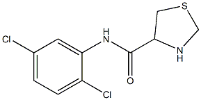N-(2,5-dichlorophenyl)-1,3-thiazolidine-4-carboxamide Structure