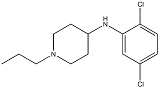 N-(2,5-dichlorophenyl)-1-propylpiperidin-4-amine 구조식 이미지