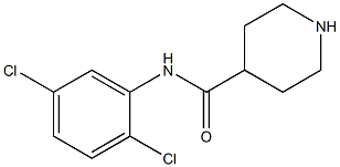 N-(2,5-dichlorophenyl)piperidine-4-carboxamide 구조식 이미지