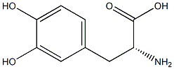 3,4-dihydroxy-D-phenylalanine Structure