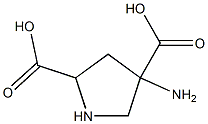 4-aminopyrrolidine-2,4-dicarboxylic acid Structure