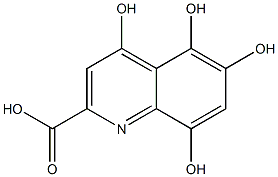 4,5,6,8-tetrahydroxyquinoline-2-carboxylic acid 구조식 이미지