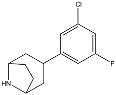 3-(3-chloro-5-fluorophenyl)-8-azabicyclo[3.2.1]octane 구조식 이미지