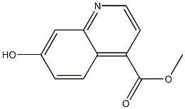 7-Hydroxy-quinoline-4-carboxylic acid methyl ester 구조식 이미지