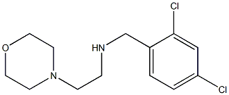 [(2,4-dichlorophenyl)methyl][2-(morpholin-4-yl)ethyl]amine 구조식 이미지