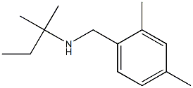 [(2,4-dimethylphenyl)methyl](2-methylbutan-2-yl)amine 구조식 이미지