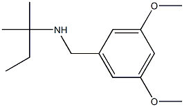 [(3,5-dimethoxyphenyl)methyl](2-methylbutan-2-yl)amine 구조식 이미지