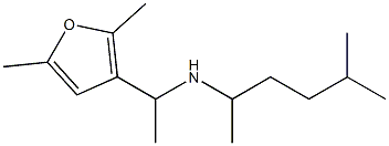 [1-(2,5-dimethylfuran-3-yl)ethyl](5-methylhexan-2-yl)amine 구조식 이미지