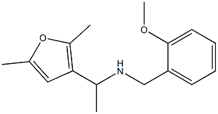 [1-(2,5-dimethylfuran-3-yl)ethyl][(2-methoxyphenyl)methyl]amine Structure