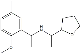 [1-(2-methoxy-5-methylphenyl)ethyl][1-(oxolan-2-yl)ethyl]amine Structure