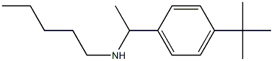 [1-(4-tert-butylphenyl)ethyl](pentyl)amine 구조식 이미지