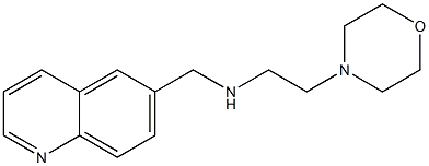 [2-(morpholin-4-yl)ethyl](quinolin-6-ylmethyl)amine 구조식 이미지