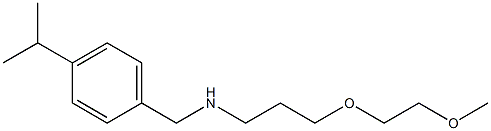 [3-(2-methoxyethoxy)propyl]({[4-(propan-2-yl)phenyl]methyl})amine Structure