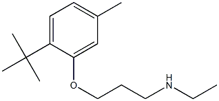 [3-(2-tert-butyl-5-methylphenoxy)propyl](ethyl)amine 구조식 이미지