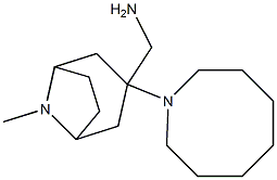 [3-(azocan-1-yl)-8-methyl-8-azabicyclo[3.2.1]octan-3-yl]methanamine Structure