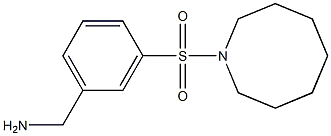 [3-(azocane-1-sulfonyl)phenyl]methanamine 구조식 이미지