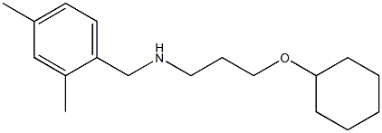 [3-(cyclohexyloxy)propyl][(2,4-dimethylphenyl)methyl]amine Structure