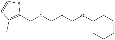 [3-(cyclohexyloxy)propyl][(3-methylthiophen-2-yl)methyl]amine Structure