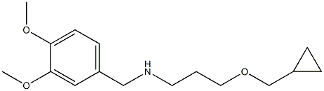 [3-(cyclopropylmethoxy)propyl][(3,4-dimethoxyphenyl)methyl]amine Structure