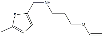 [3-(ethenyloxy)propyl][(5-methylthiophen-2-yl)methyl]amine Structure