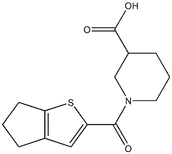 1-{4H,5H,6H-cyclopenta[b]thiophen-2-ylcarbonyl}piperidine-3-carboxylic acid 구조식 이미지
