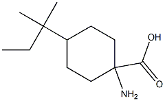 1-amino-4-(1,1-dimethylpropyl)cyclohexanecarboxylic acid 구조식 이미지