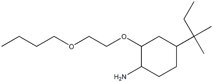 2-(2-butoxyethoxy)-4-(2-methylbutan-2-yl)cyclohexan-1-amine 구조식 이미지