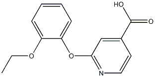 2-(2-ethoxyphenoxy)pyridine-4-carboxylic acid Structure