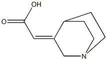 2-{1-azabicyclo[2.2.2]octan-3-ylidene}acetic acid 구조식 이미지