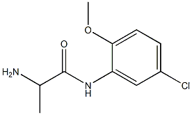 2-amino-N-(5-chloro-2-methoxyphenyl)propanamide Structure