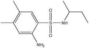 2-amino-N-(butan-2-yl)-4,5-dimethylbenzene-1-sulfonamide Structure