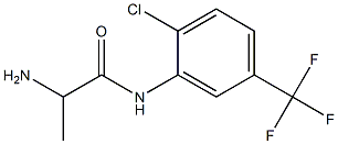 2-amino-N-[2-chloro-5-(trifluoromethyl)phenyl]propanamide Structure