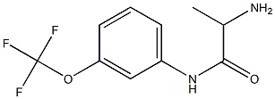 2-amino-N-[3-(trifluoromethoxy)phenyl]propanamide Structure