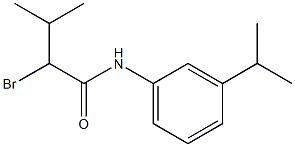 2-bromo-3-methyl-N-[3-(propan-2-yl)phenyl]butanamide Structure