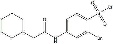 2-bromo-4-(2-cyclohexylacetamido)benzene-1-sulfonyl chloride 구조식 이미지