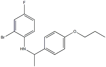 2-bromo-4-fluoro-N-[1-(4-propoxyphenyl)ethyl]aniline 구조식 이미지