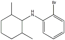 2-bromo-N-(2,6-dimethylcyclohexyl)aniline Structure