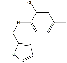2-chloro-4-methyl-N-[1-(thiophen-2-yl)ethyl]aniline 구조식 이미지