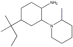 4-(2-methylbutan-2-yl)-2-(2-methylpiperidin-1-yl)cyclohexan-1-amine Structure