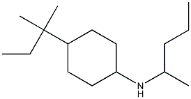 4-(2-methylbutan-2-yl)-N-(pentan-2-yl)cyclohexan-1-amine 구조식 이미지