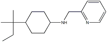 4-(2-methylbutan-2-yl)-N-(pyridin-2-ylmethyl)cyclohexan-1-amine 구조식 이미지