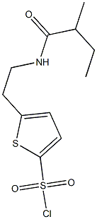 5-{2-[(2-methylbutanoyl)amino]ethyl}thiophene-2-sulfonyl chloride 구조식 이미지