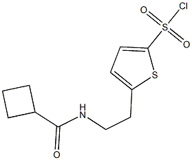 5-{2-[(cyclobutylcarbonyl)amino]ethyl}thiophene-2-sulfonyl chloride Structure