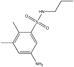 5-amino-2,3-dimethyl-N-propylbenzene-1-sulfonamide Structure