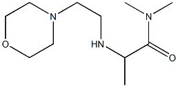 N,N-dimethyl-2-{[2-(morpholin-4-yl)ethyl]amino}propanamide 구조식 이미지