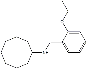 N-[(2-ethoxyphenyl)methyl]cyclooctanamine 구조식 이미지