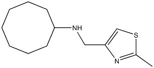 N-[(2-methyl-1,3-thiazol-4-yl)methyl]cyclooctanamine 구조식 이미지