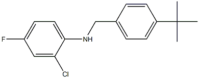 N-[(4-tert-butylphenyl)methyl]-2-chloro-4-fluoroaniline 구조식 이미지